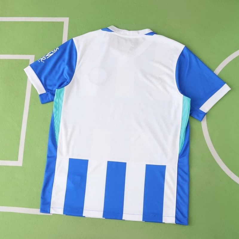 2526 season (Brighton & Hove Albion Football Club home Fan version