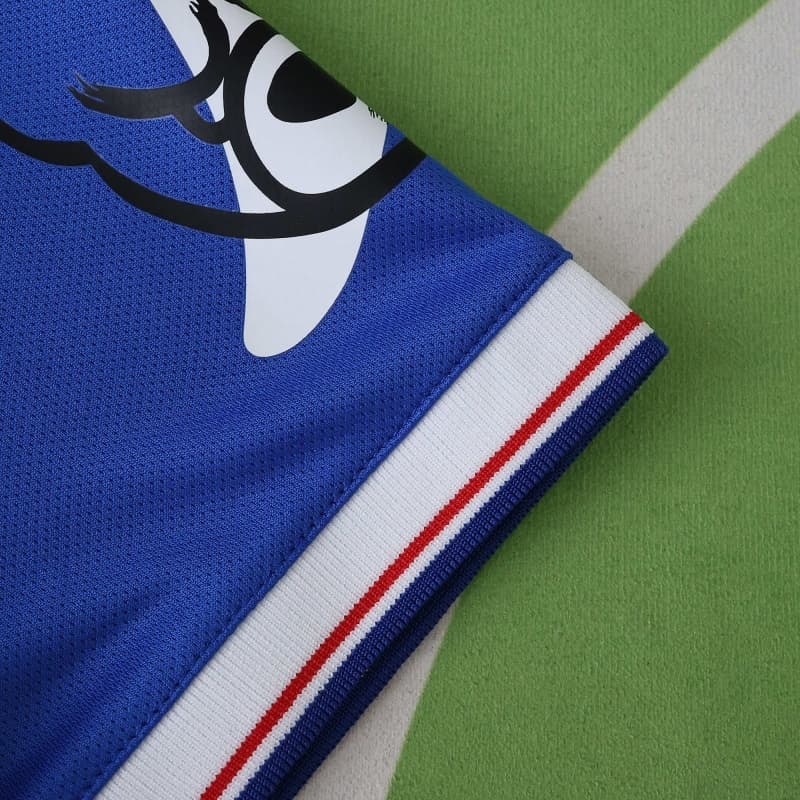 2526 season Ipswich Town F.C. home Fan version