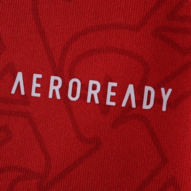 2526 season Arsenal F.C. home Long sleeved Fan version