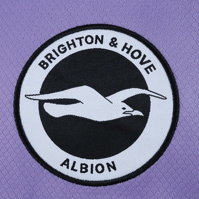 2526 season Brighton & Hove Albion F.C. away Fan version