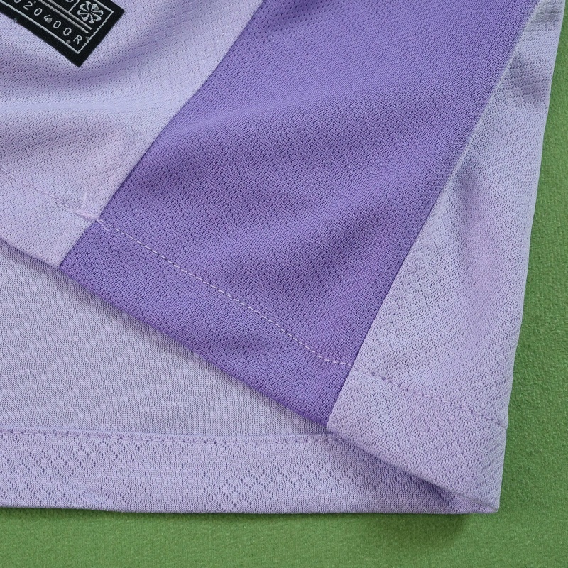 2526 season Brighton & Hove Albion F.C. away Fan version