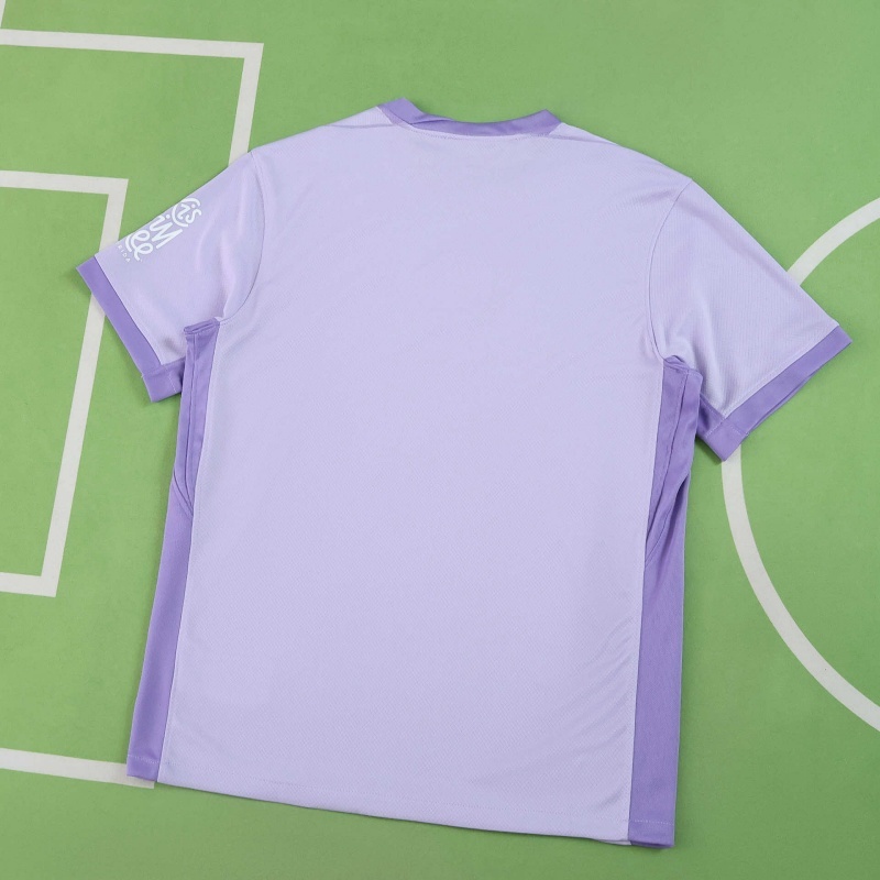 2526 season Brighton & Hove Albion F.C. away Fan version