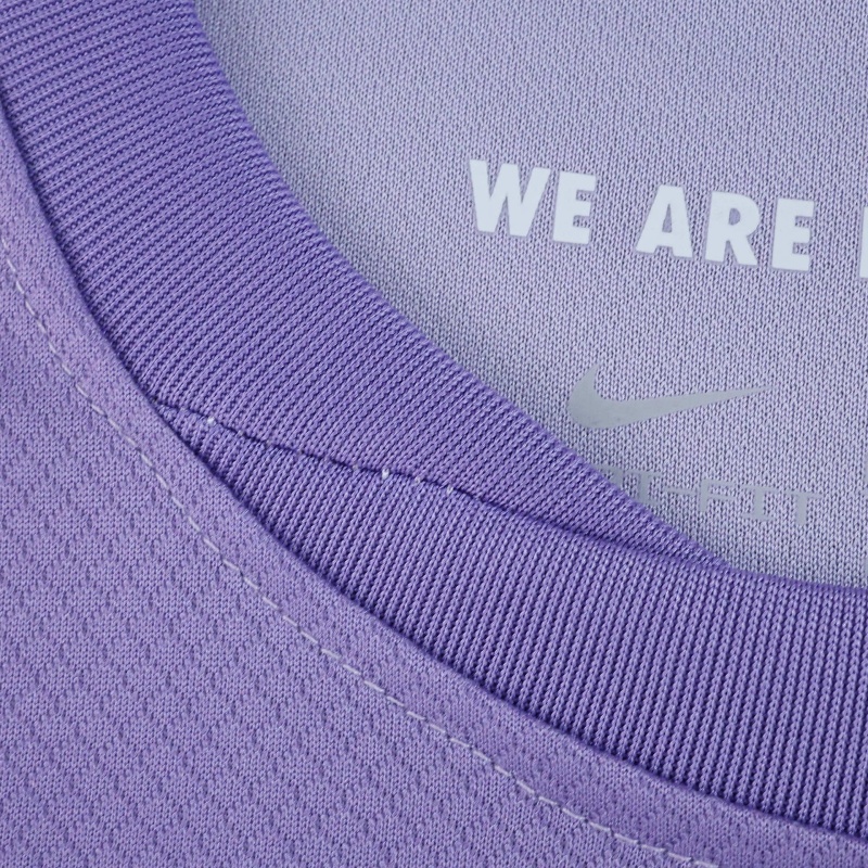 2526 season Brighton & Hove Albion F.C. away Fan version