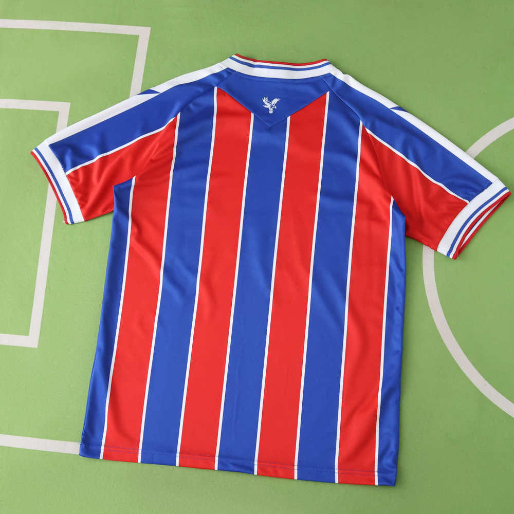 2526 season Crystal Palace F.C.  home Fan version
