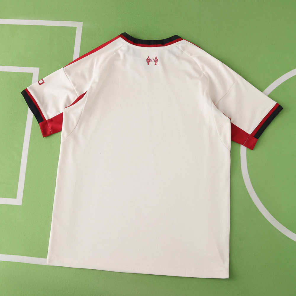 2526  season Liverpool F.C. away Fan version