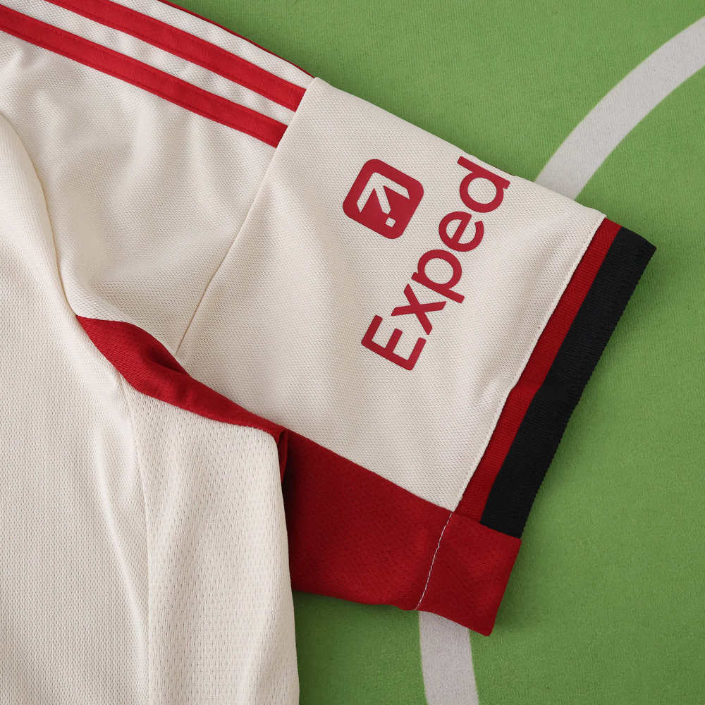 2526  season Liverpool F.C. away Fan version