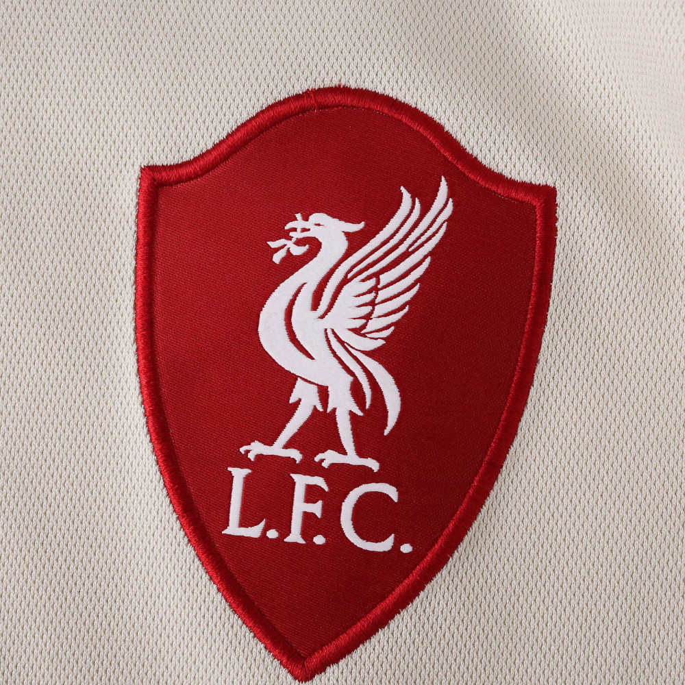 2526  season Liverpool F.C. away Fan version