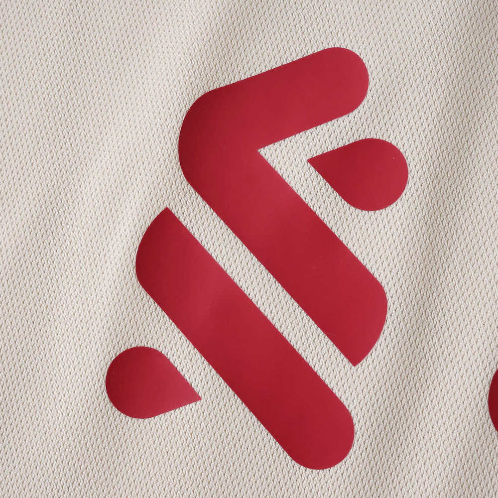 2526  season Liverpool F.C. away Fan version