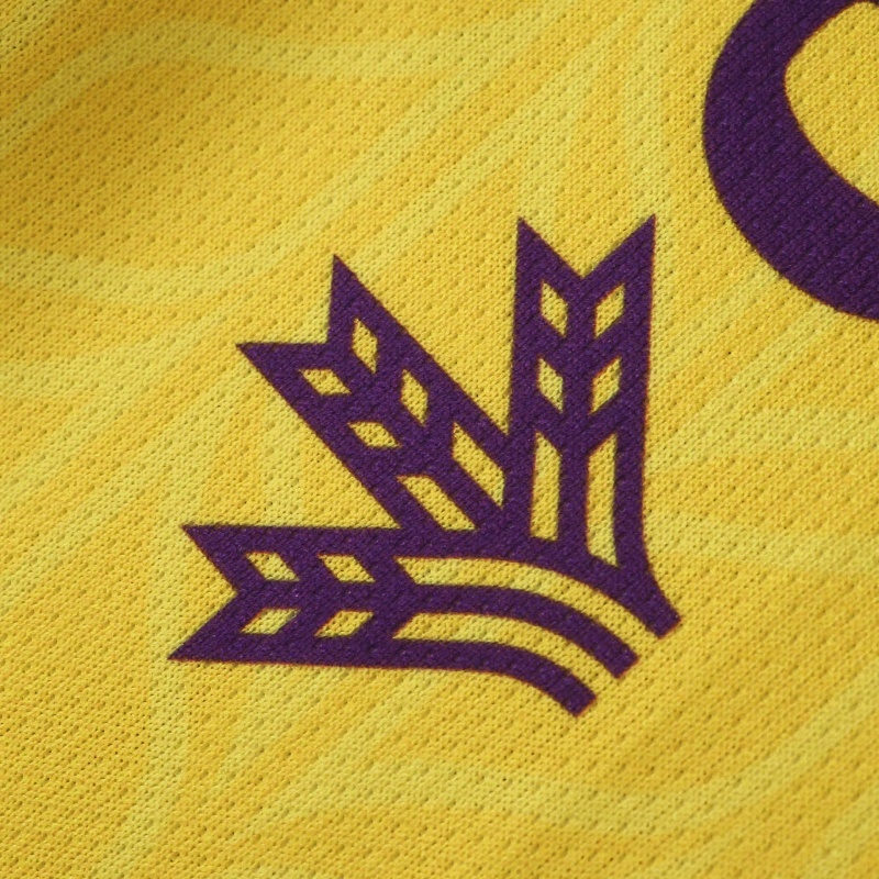 2526 Season Real Valladolid CF Third Fan version