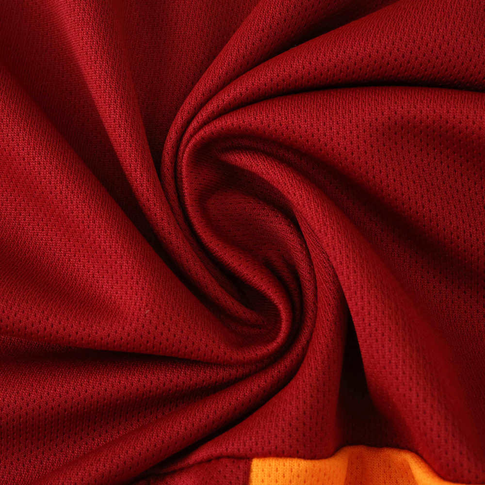 2526 season Galatasaray S.K. home Fan version
