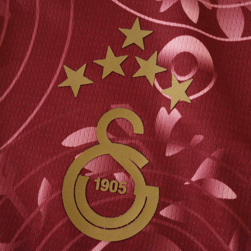 2526 season Galatasaray S.K. third Fan version