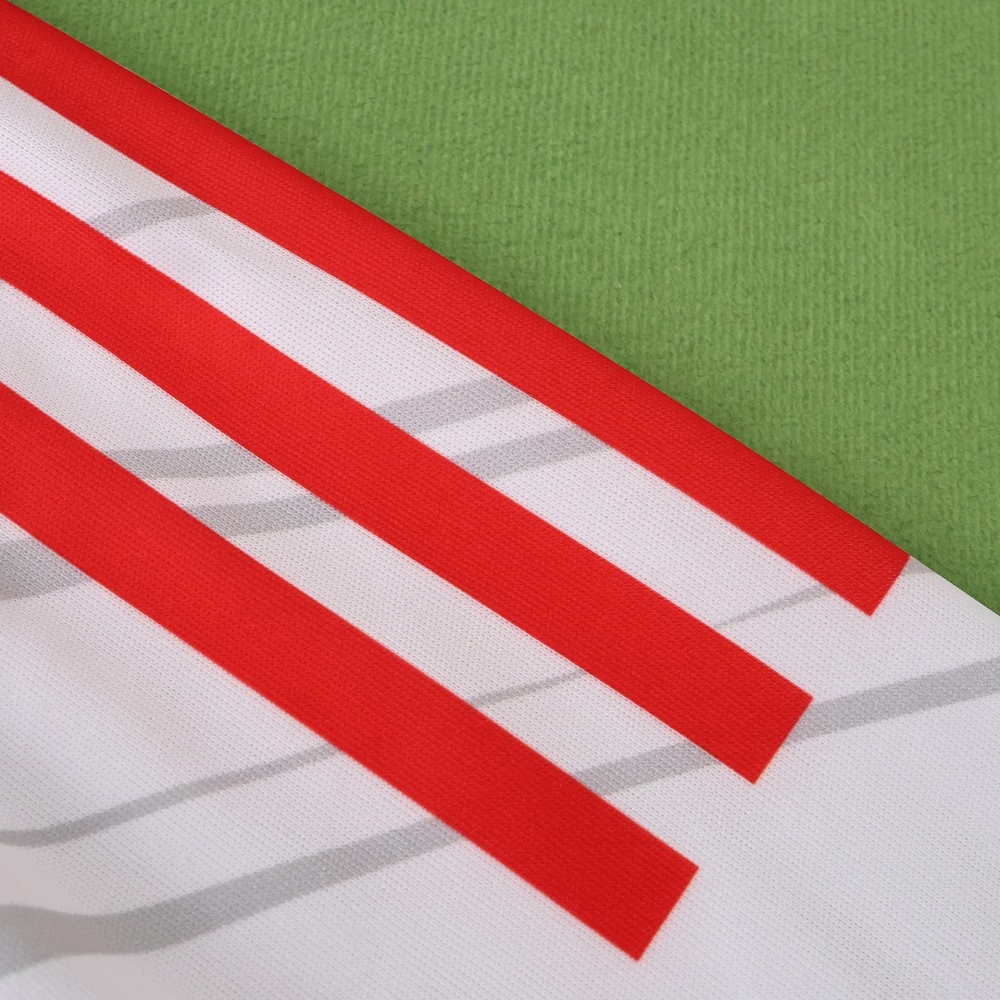 2526 season S.L. Benfica Concept version Fan version
