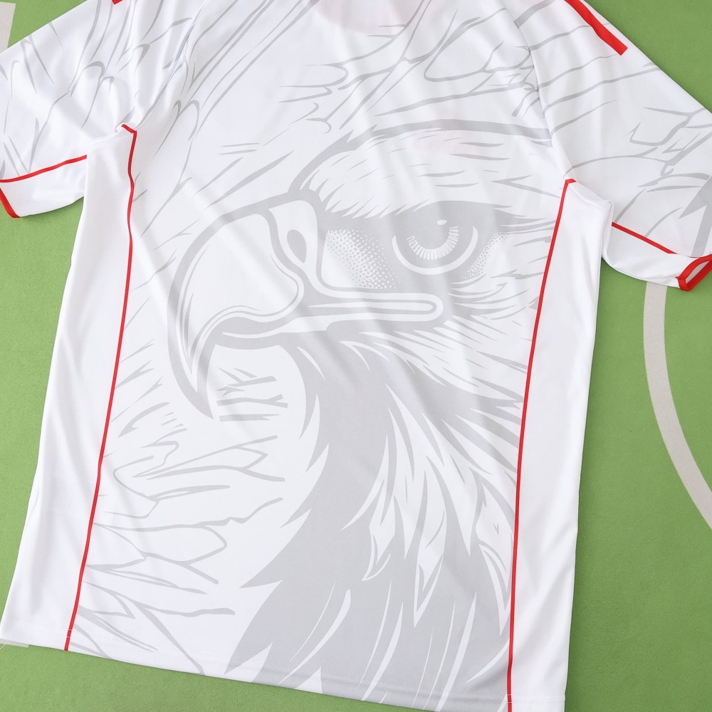 2526 season S.L. Benfica Concept version Fan version