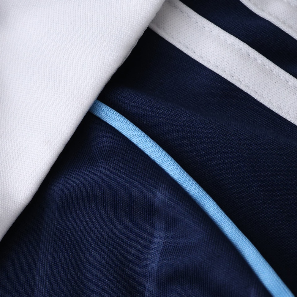 2526 season Paris FC home fans version