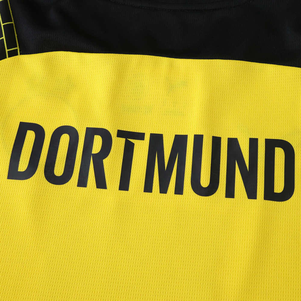 2526 season Borussia Dortmund Cup version Fan version
