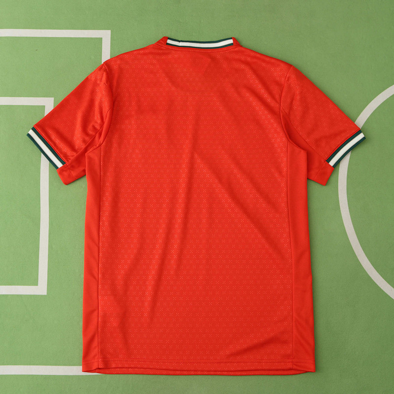 2526 season Portugal home Fan version