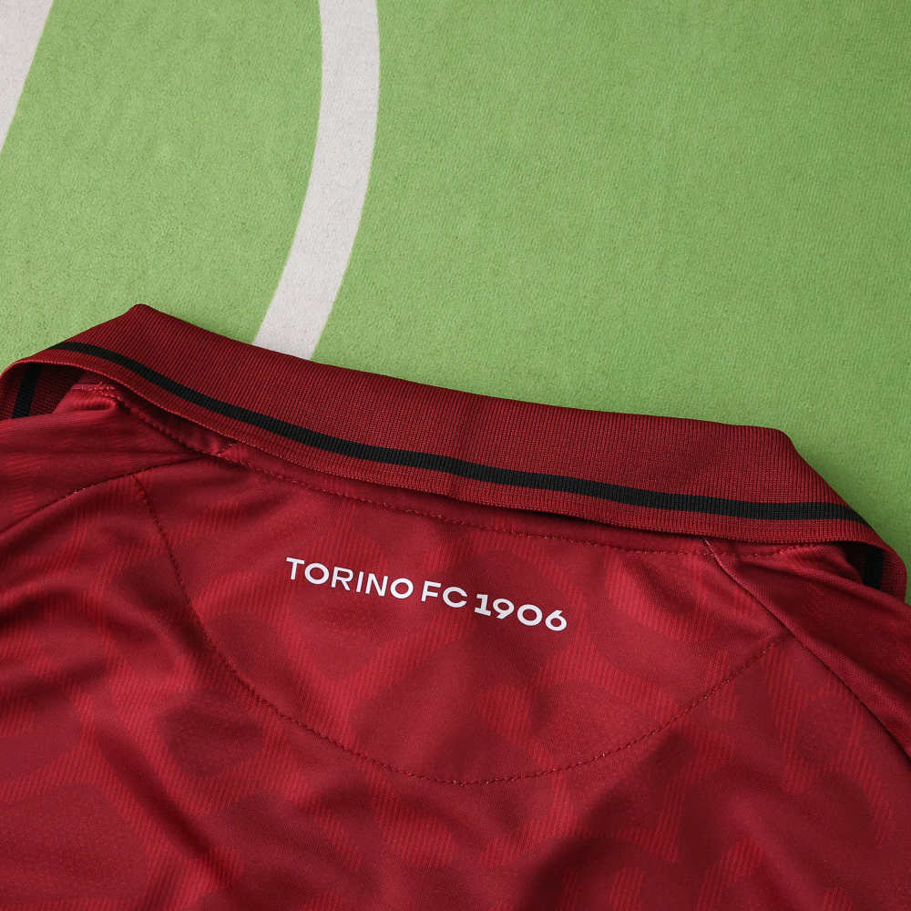 2526 season Torino F.C. home Fan version