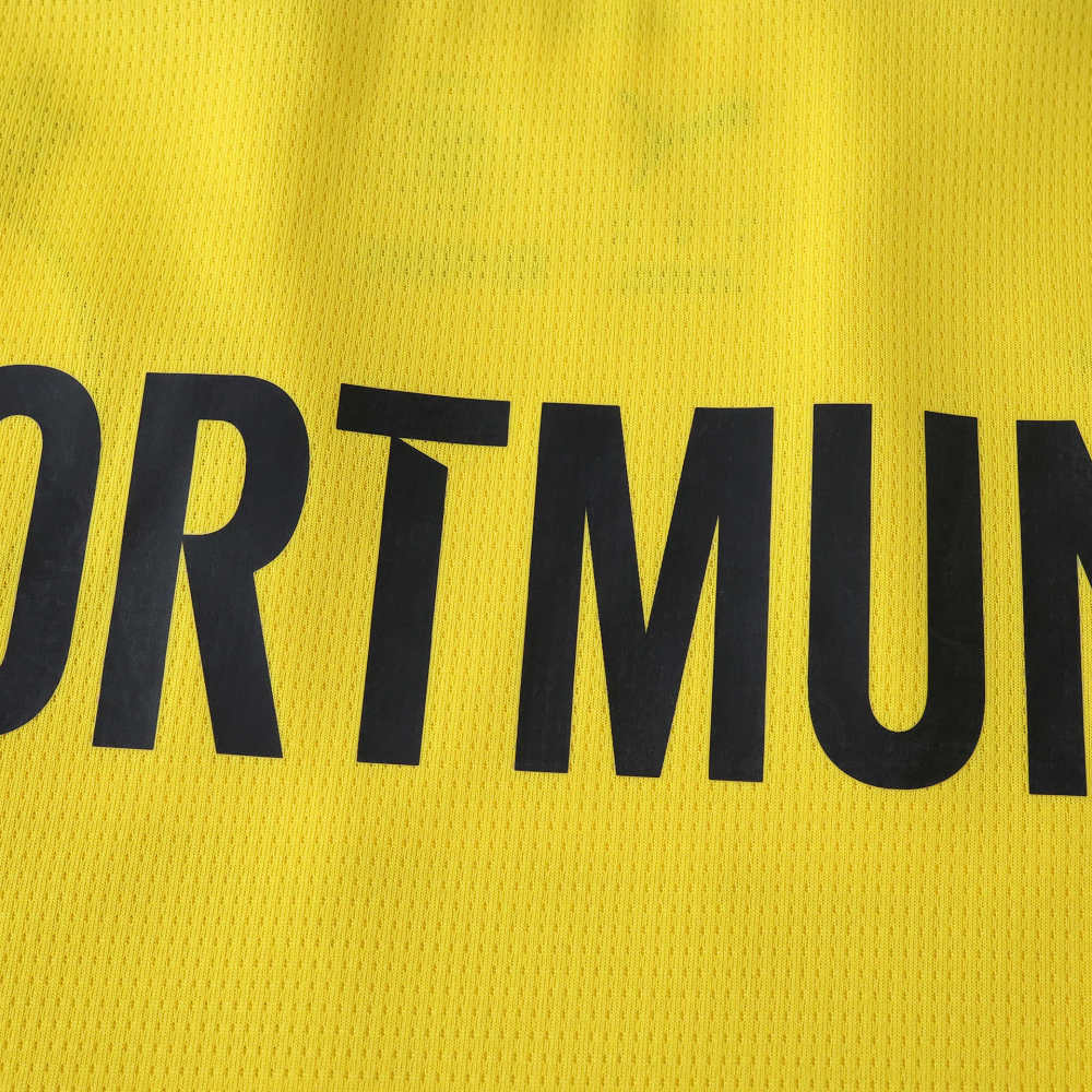 2526 season Borussia Dortmund Cup version Fan version
