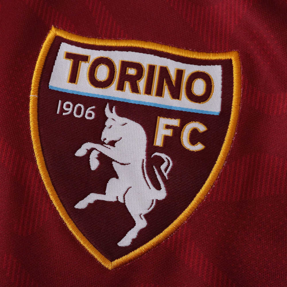 2526 season Torino F.C. home Fan version