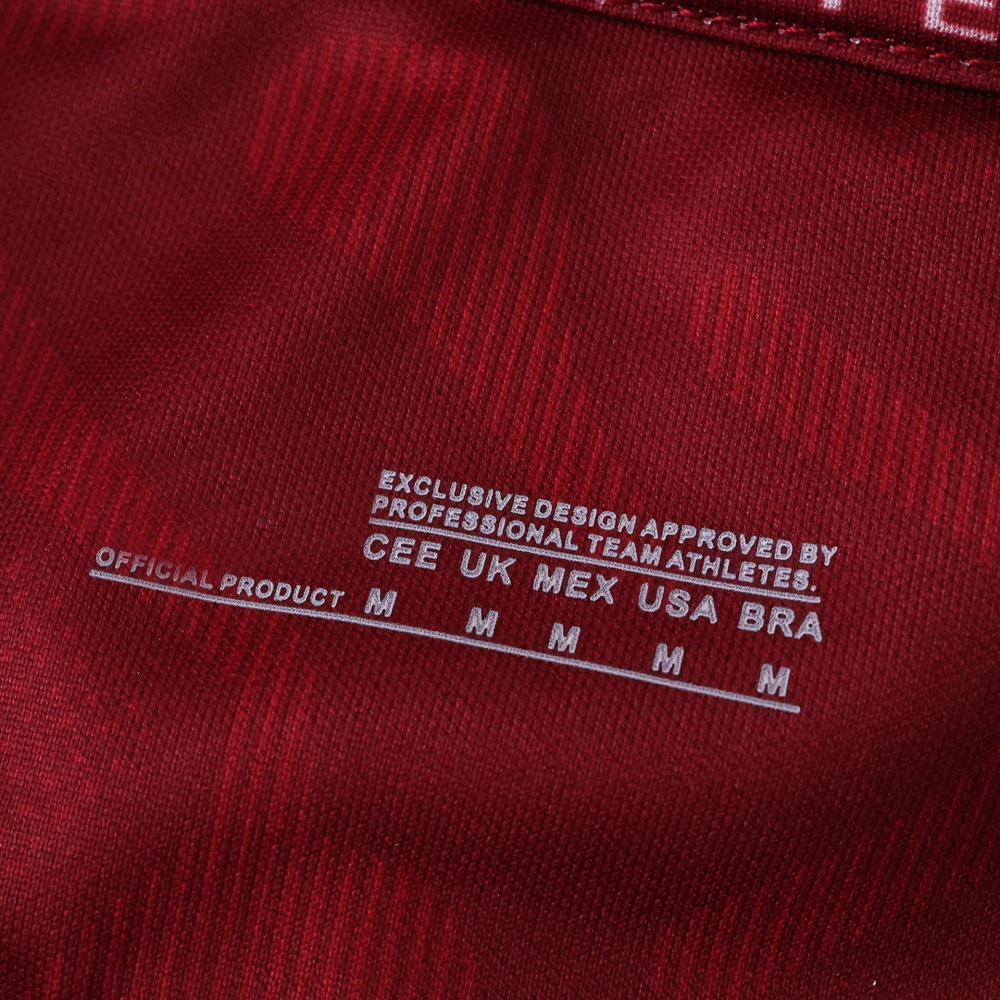 2526 season Torino F.C. home Fan version