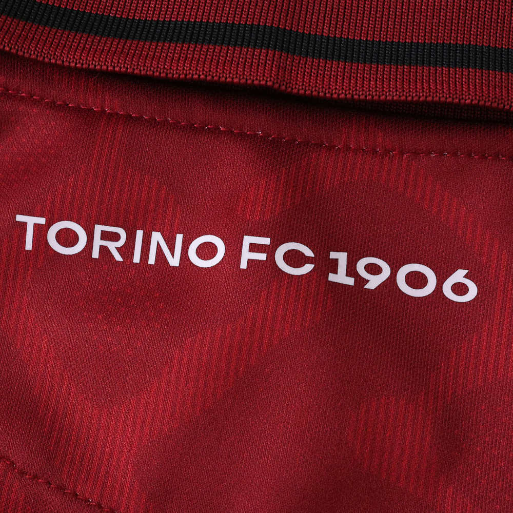 2526 season Torino F.C. home Fan version