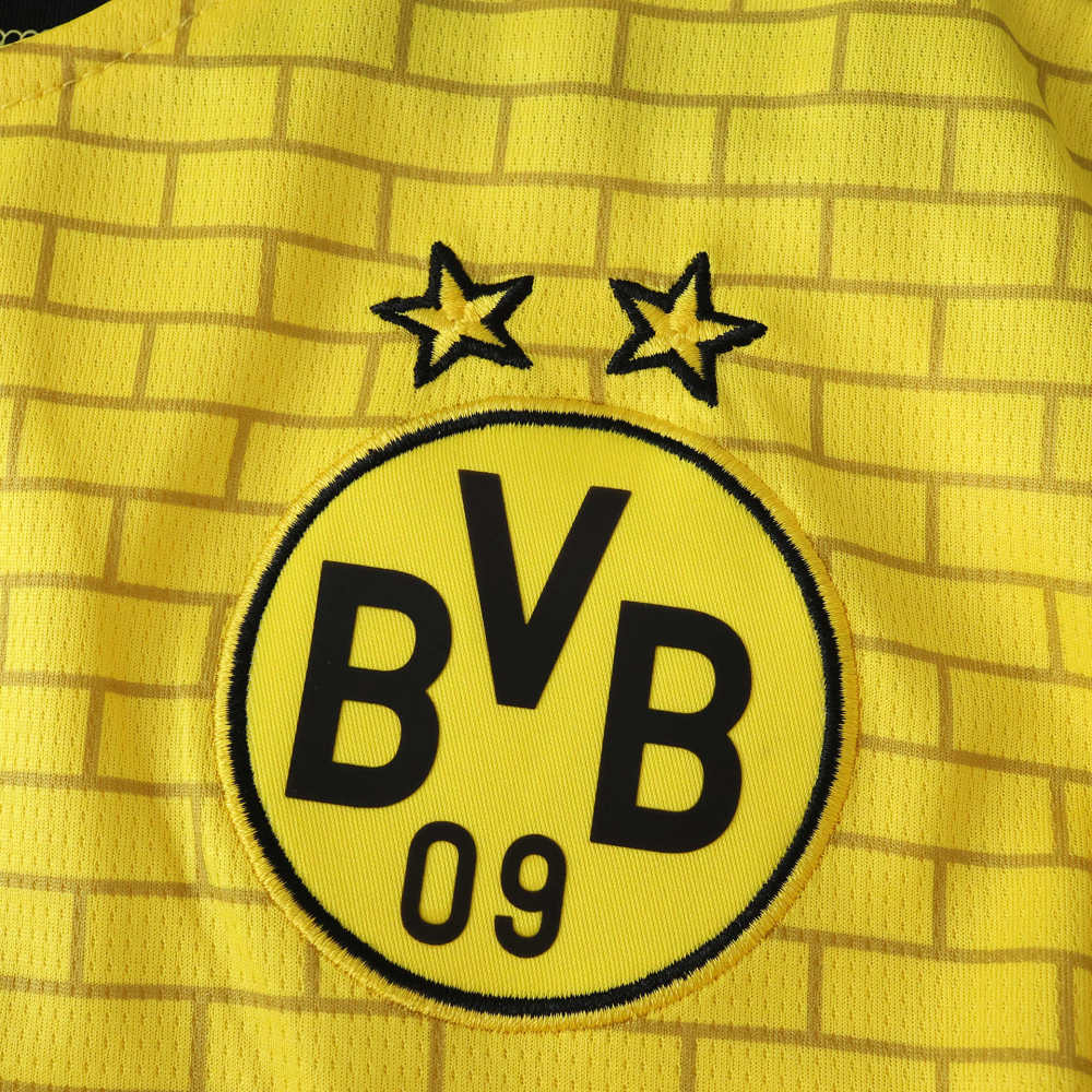 2526 season Borussia Dortmund Cup version Fan version