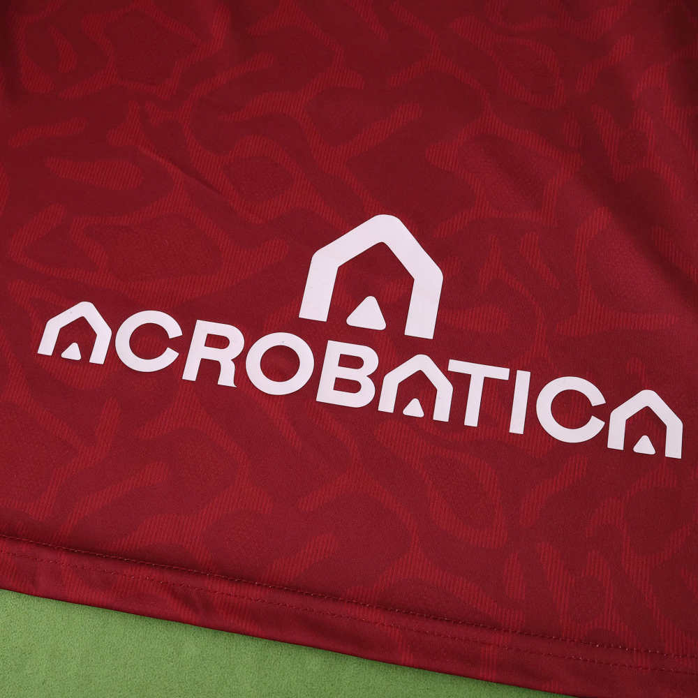 2526 season Torino F.C. home Fan version