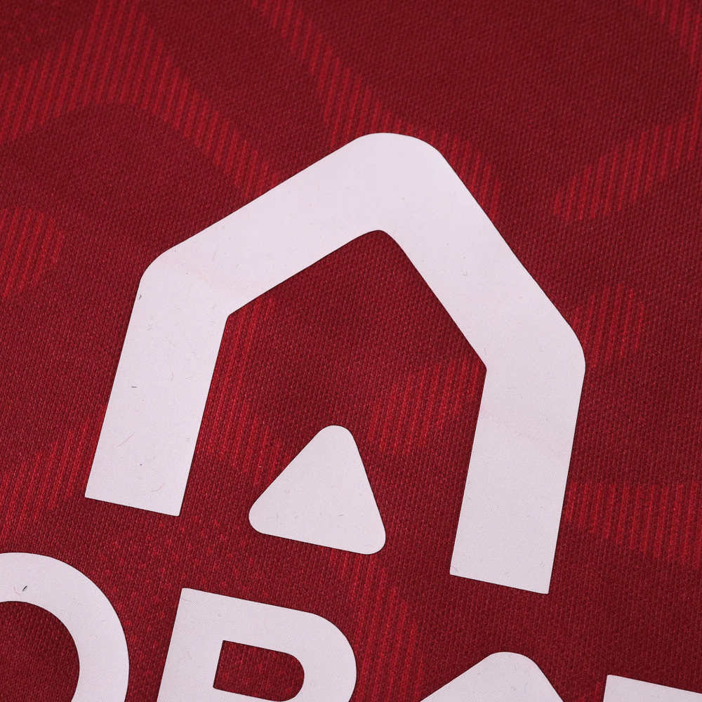 2526 season Torino F.C. home Fan version