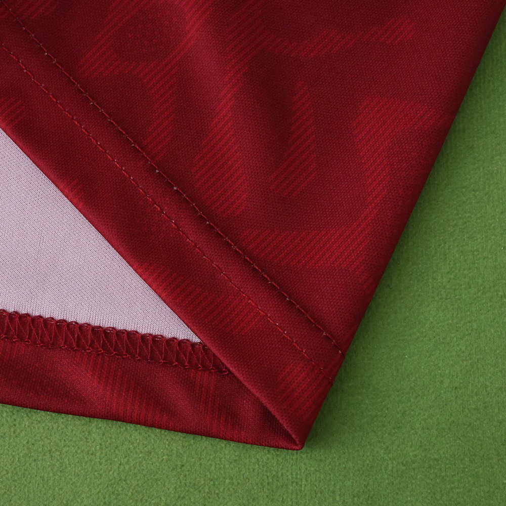 2526 season Torino F.C. home Fan version