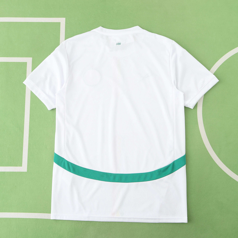 2526 season Senegal home Fan version