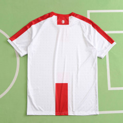 2024 UEFA Georgia home Fan version