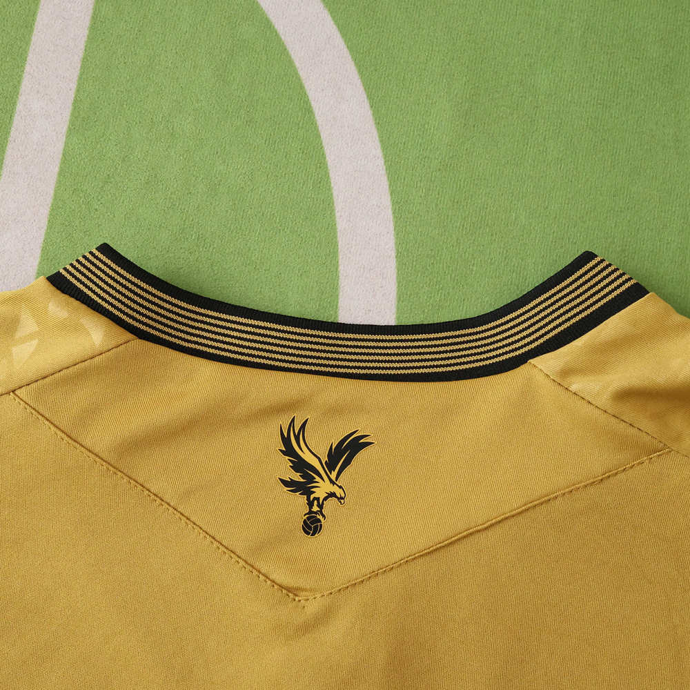 2526 season Crystal Palace F.C.  away Fan version