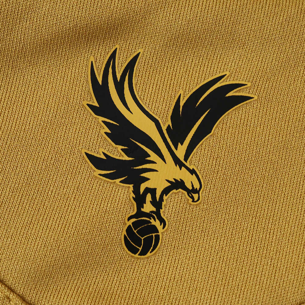 2526 season Crystal Palace F.C.  away Fan version