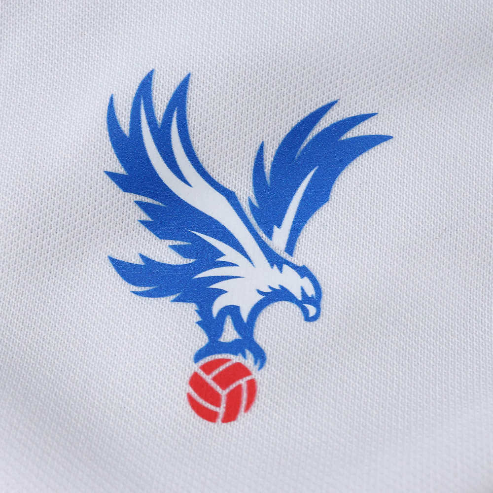 2526 season Crystal Palace F.C. third Fan version