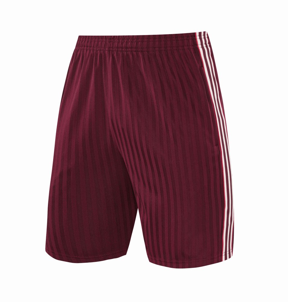 2526 season Fußball-Club Bayern München Training clothes suit vest Fan version