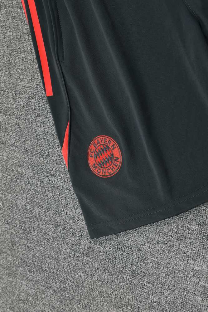 2526 season Fußball-Club Bayern München Training clothes suit vest Fan version