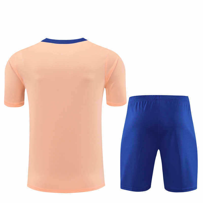 2526 season France Training clothes suit Short sleeve Fan version