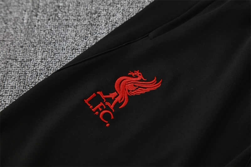 2526 season Liverpool F.C. Half zip training suit set