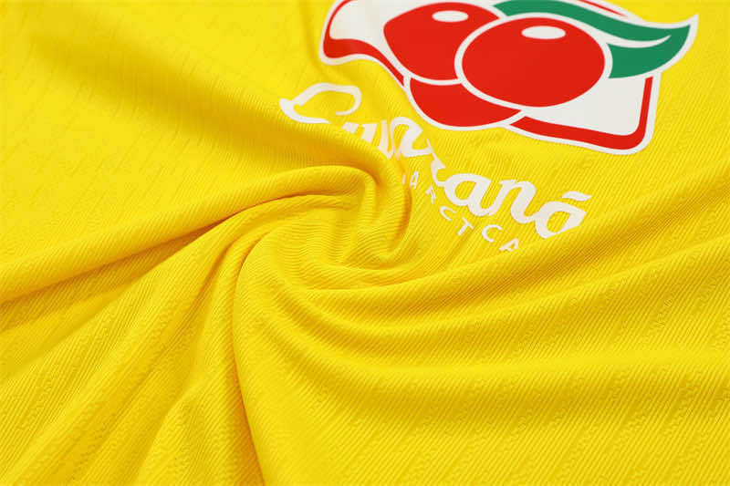 2526 season Brazil Half zip training suit set