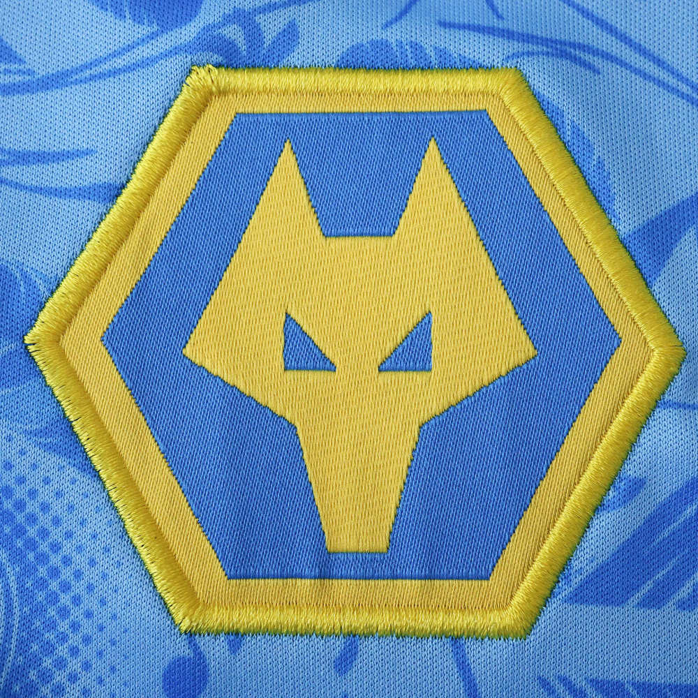 2526 season  Wolverhampton Wanderers F.C. third Fan version
