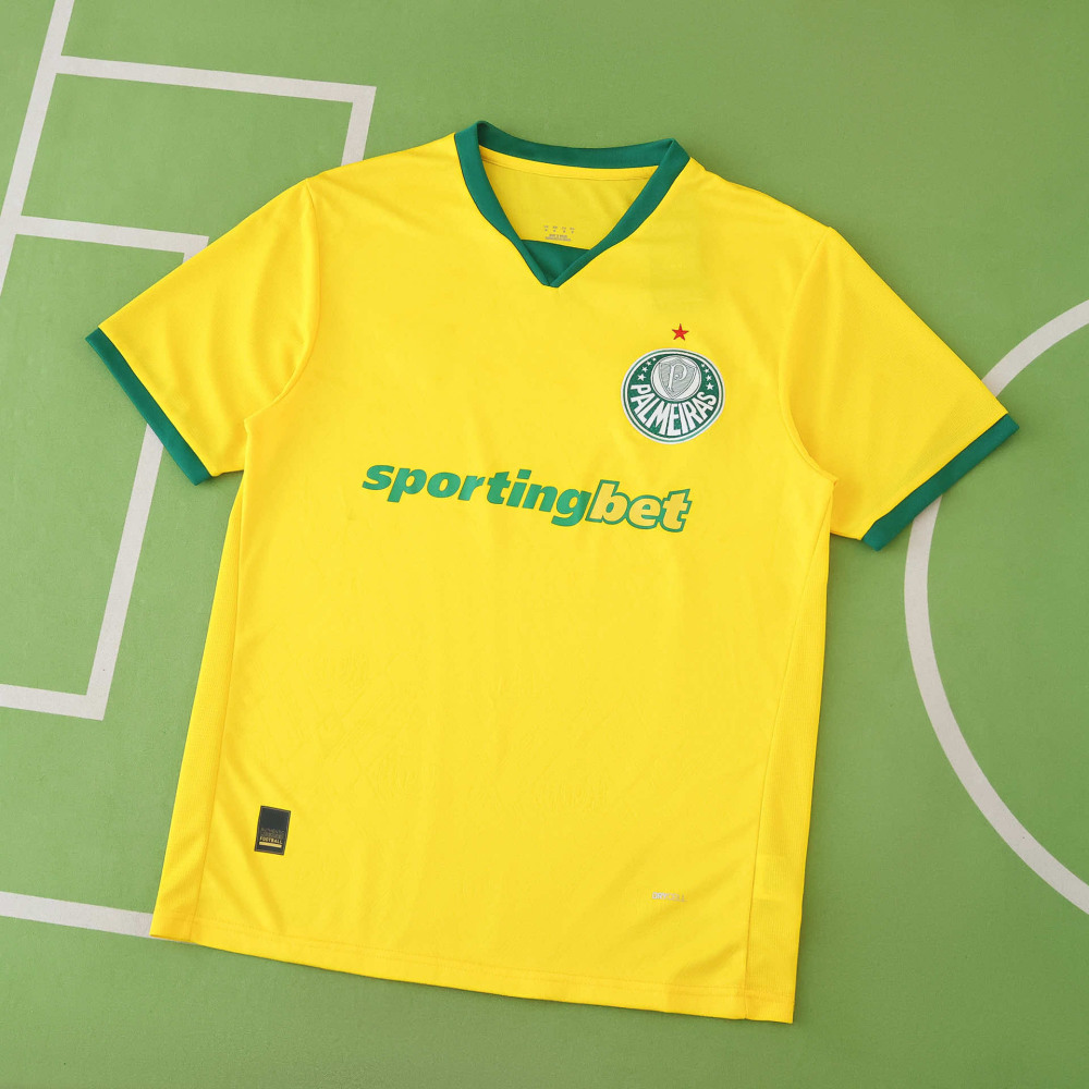 2526 season Sociedade Esportiva Palmeiras third Fan version