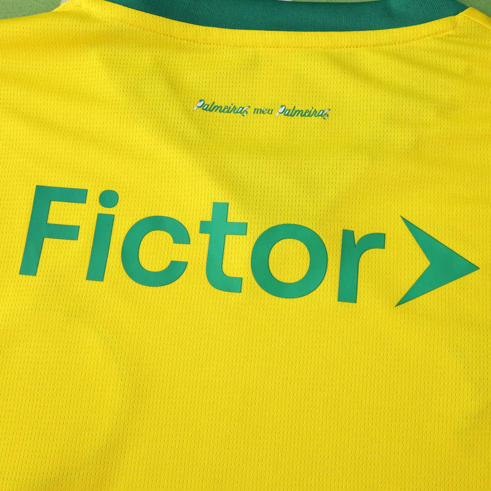 2526 season Sociedade Esportiva Palmeiras third Fan version
