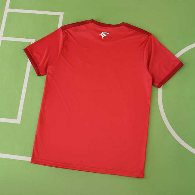 2526 season Cape Verde third Fan version