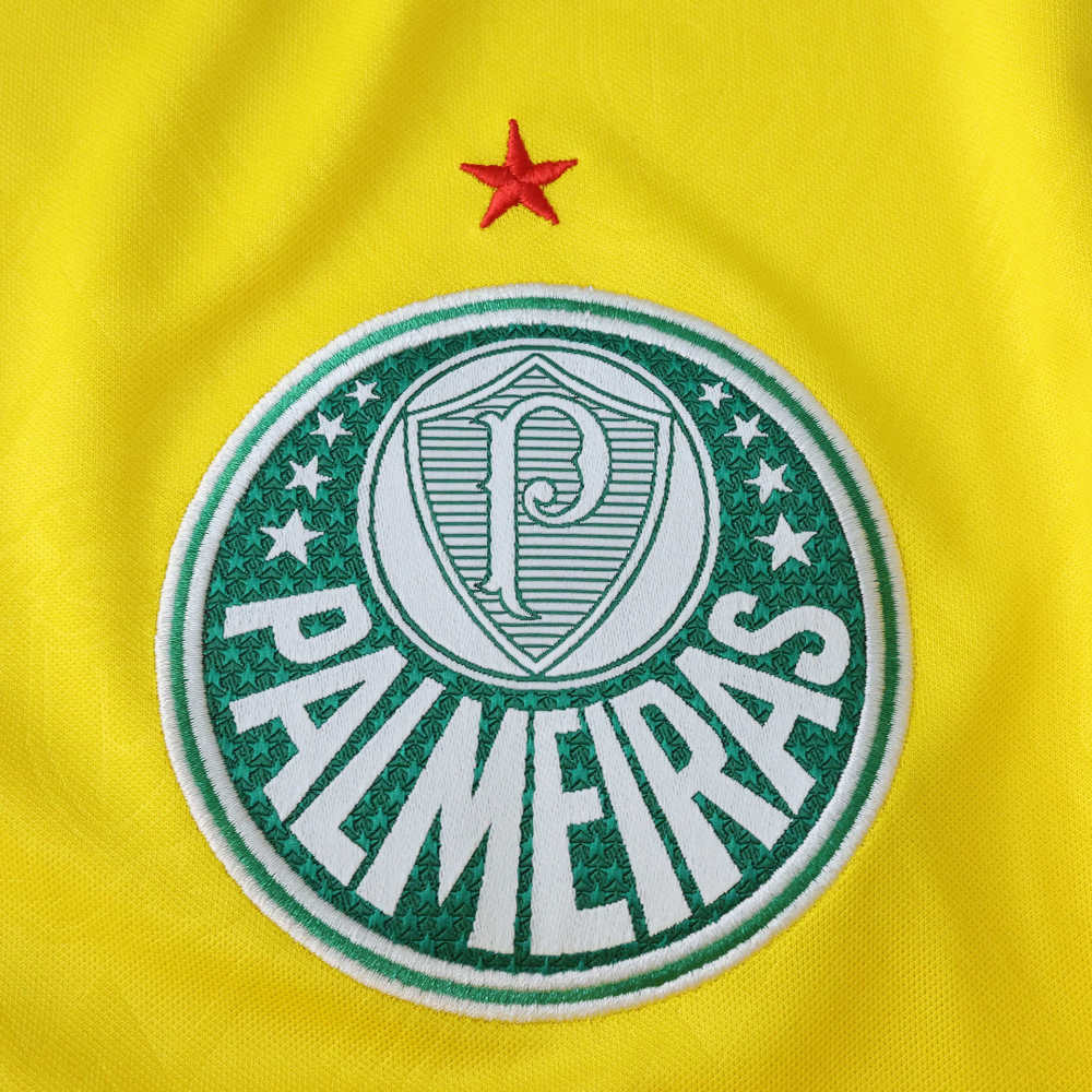 2526 season Sociedade Esportiva Palmeiras third Fan version