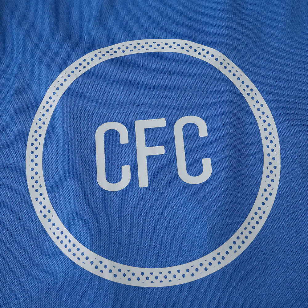 2526 season Cameroon home Fan version