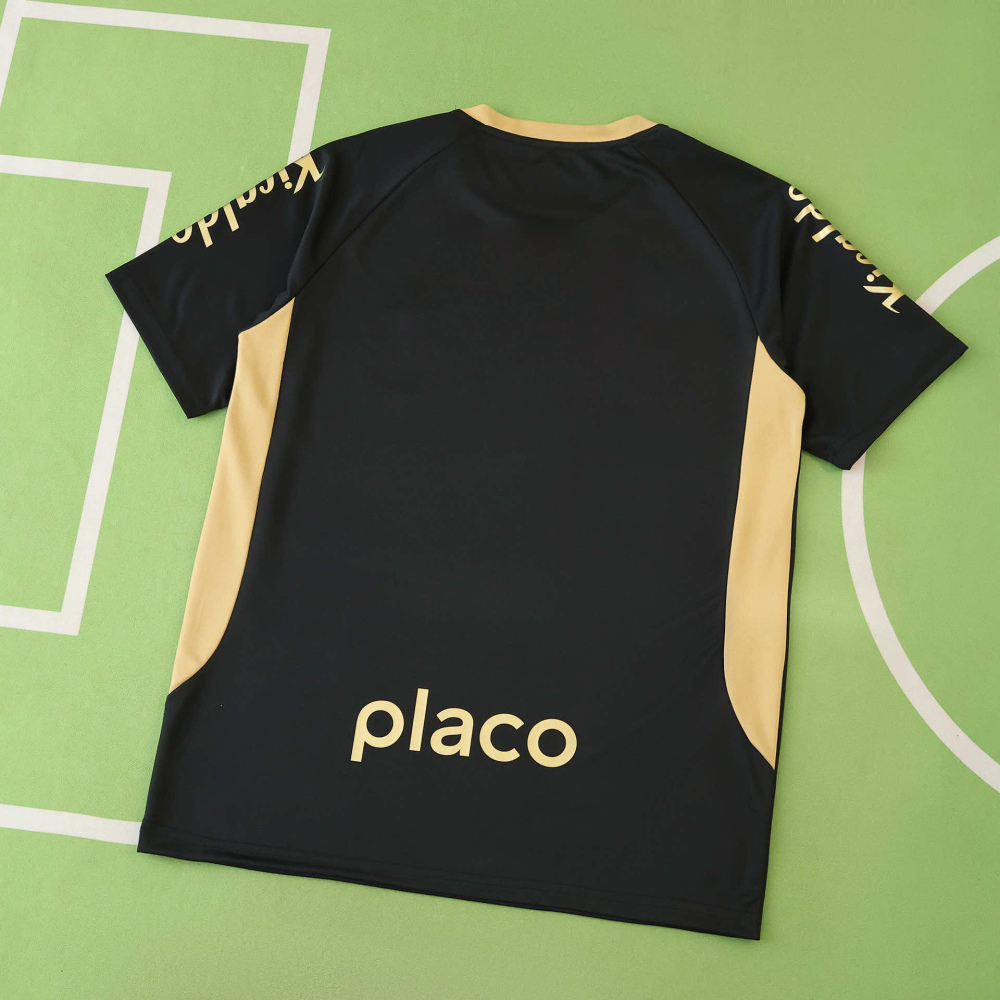2526 season Santos FC Concept version Fan version