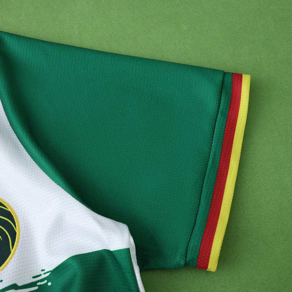 2526 season Cameroon third Fan version