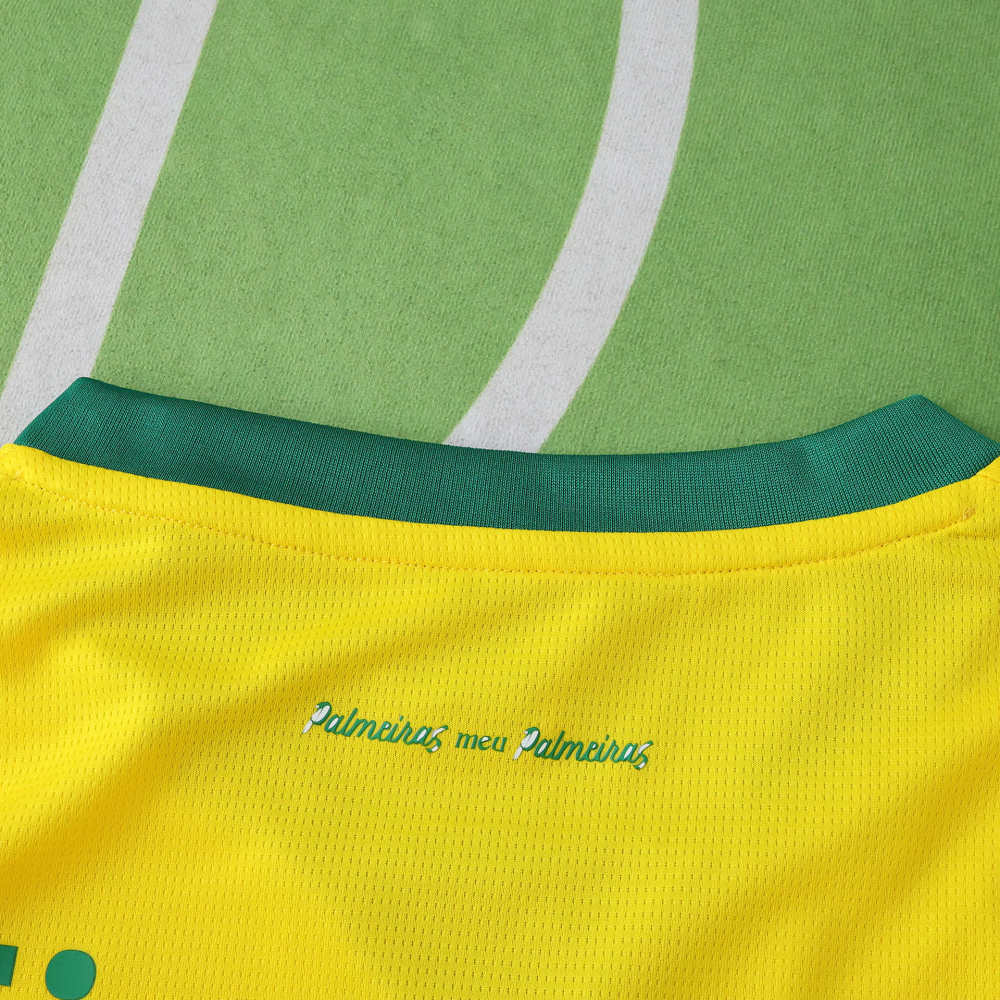 2526 season Sociedade Esportiva Palmeiras third Fan version