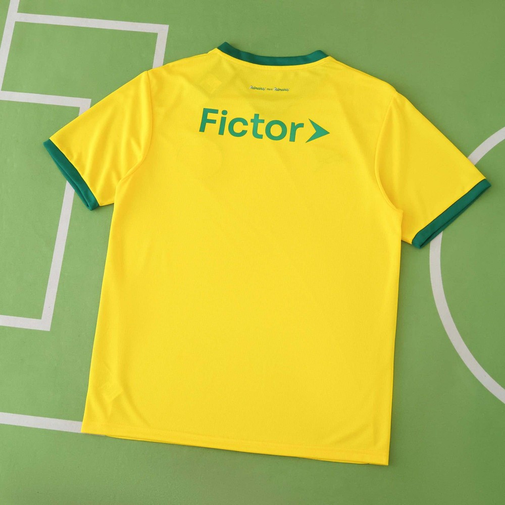 2526 season Sociedade Esportiva Palmeiras third Fan version