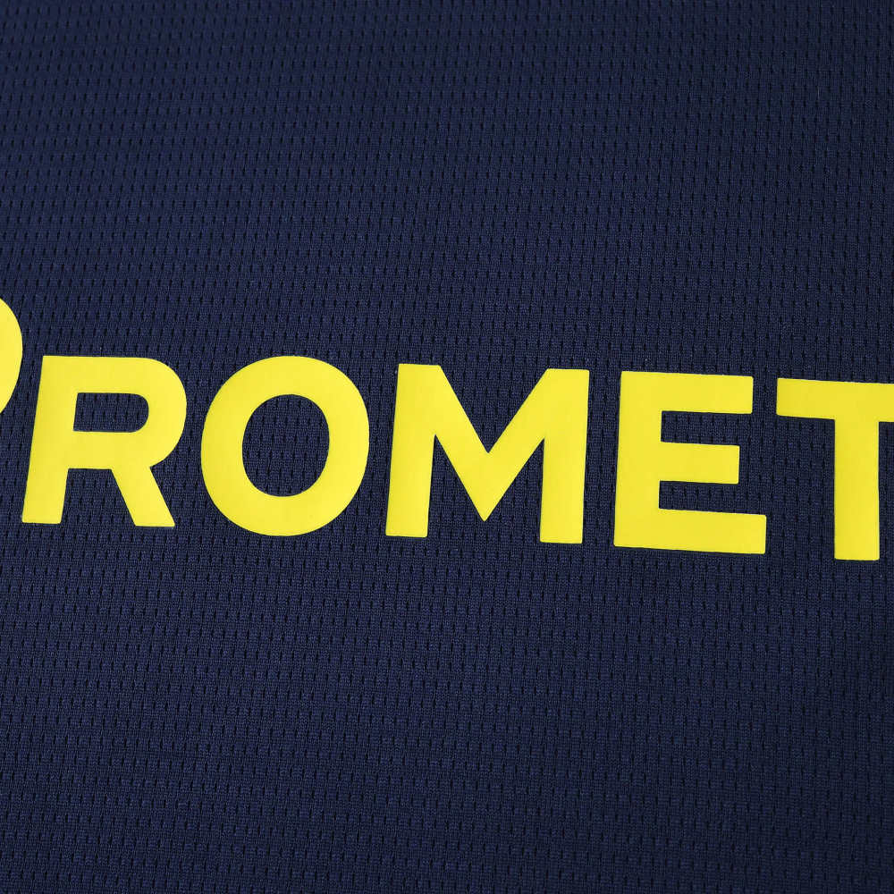 2526 season Parma Calcio 1913 fourth Fan version